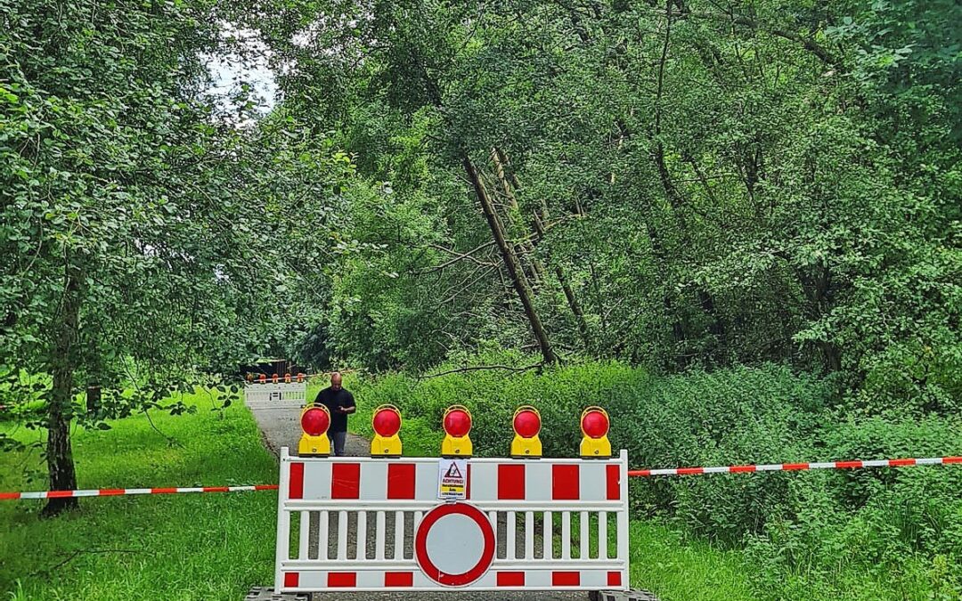 Gefahr durch umgestürzte Bäume im Baunsbergpark nach Sturm