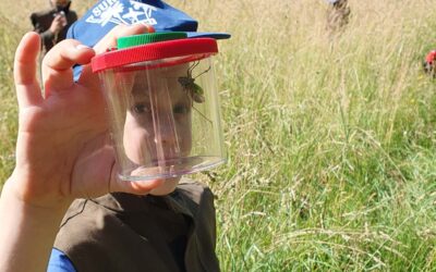 Abenteuer in der Natur: Entdeckerwesten für Kita Mecklar