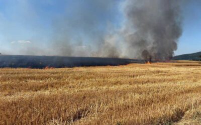 Feuerwehreinsätze, Einbruch und Buskontrollen im Schwalm-Eder-Kreis
