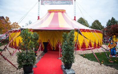 Circus-Festival „Goldener Biber“ kehrt 2025 nach Neustadt zurück