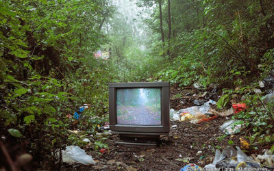 CDU kämpft für Veteranentag und gegen illegale Müllentsorgung