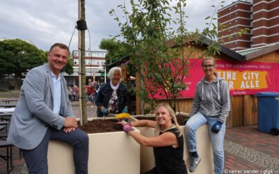 Wenn Bäume auf Wanderschaft gehen …
