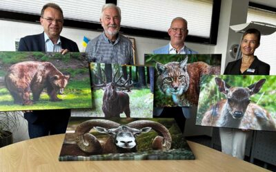 Ein Stück Wildpark Knüll im Buchenhaus Berchtesgaden