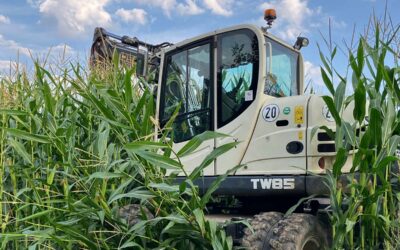 Täter fahren Bagger und stehlen Rüttelplatte