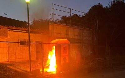 SEK: Polizei ermittelt nach Brand und tödlichem Schuss auf Mäusebussard