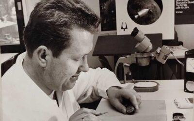 Tradition und Innovation im Herzen von Schwalmstadt