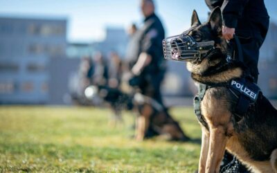 Polizeigewerkschaft fordert Stadionverbote für Gewalttätern