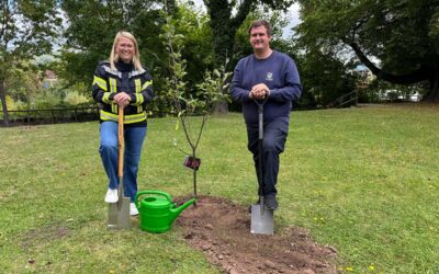Baumpflanz-Challenge: Winfried Becker nominiert