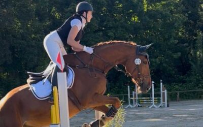 Schulpferdeturnier am Sonntag in Loshausen