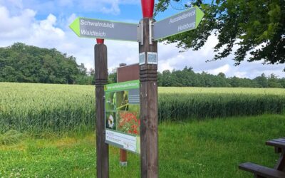 Neuer Flyer stellt Natur- und Kulturlehrpfad Holzburg vor