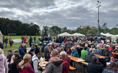 Alles rund um die Knolle