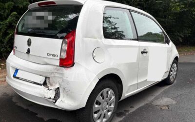 Schwalm-Eder-Kreis ehrt erfolgreiches Stadtradeln 2025