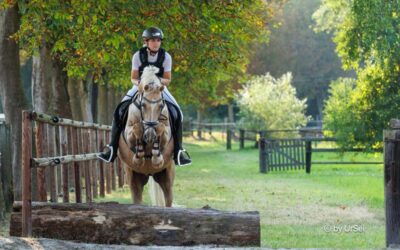 Bundesschau der IG Welsh auf dem Gestüt Kastanienhof