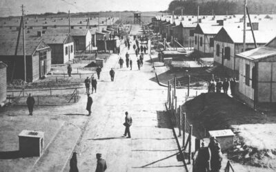 Öffentliche Geländeführung in der Gedenkstätte Trutzhain am 15. November