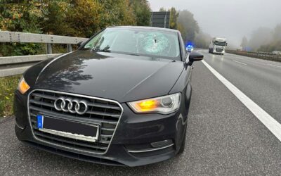 Umherfliegendes Holzteil verursacht Unfall auf der A 7