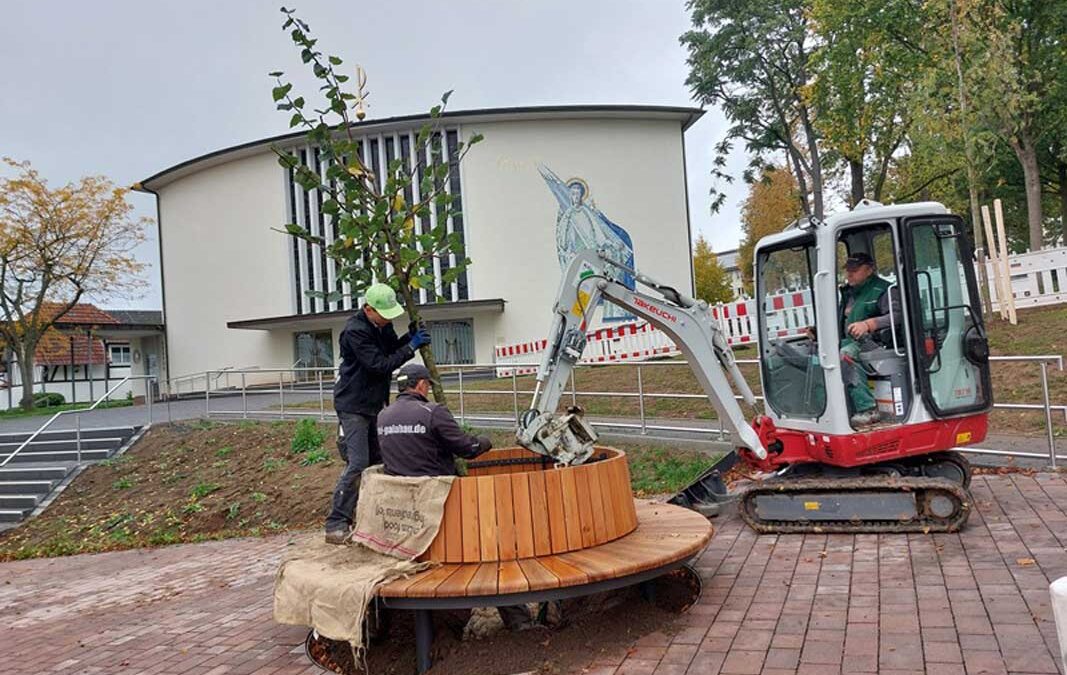 Stadtpark: Erster Bauabschnitt der Umgestaltung fast abgeschlossen