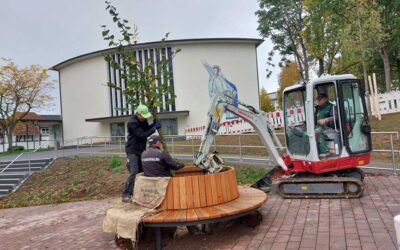 Stadtpark: Erster Bauabschnitt der Umgestaltung fast abgeschlossen